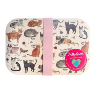 Curious Cats Bamboo Lunch Box