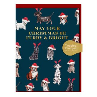 Dogs ‘Furry & Bright’ Mini Christmas Card
