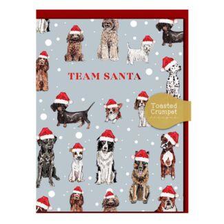 Dogs ‘Team Santa’ Mini Christmas Card