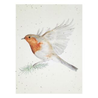 Flying Robin Seed Card