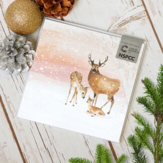 Deer Family Pack Of 6 Christmas Cards Charity Pack