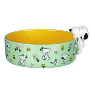 Peanuts Dog Bowl