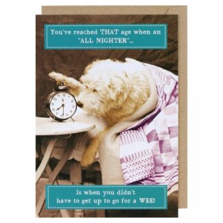 Animal Antics All Nighter Birthday Card