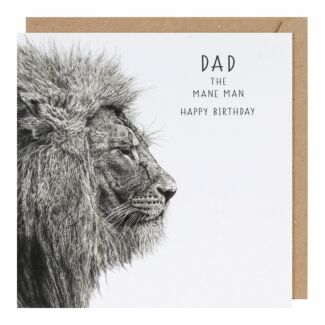 Life In Pencil Mane Man Dad Birthday Card