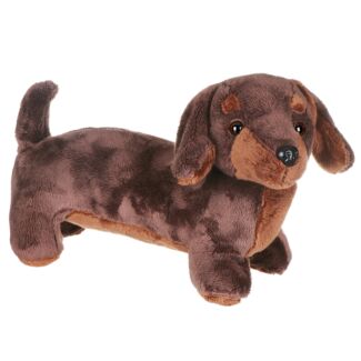 Brown Dachshund Sausage Dog