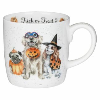 Trick or Treat Large Fine Bone China Mug