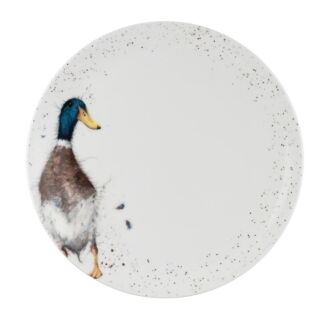 10.5 Inch Coupe Plate - Duck