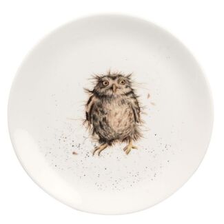 8 Inch Coupe Plate - Owl 