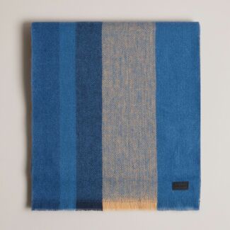 ALFREDY Blue & Camel Striped Woven Scarf