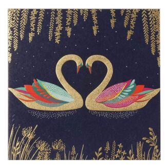 Romantic Swans Greetings Card