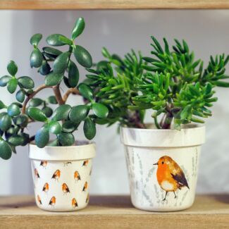 Country Living Robin Set of Two Ceramic Planters