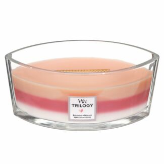 Blooming Orchard Hearthwick Trilogy Ellipse Candle