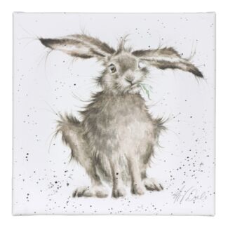 ‘Hare-Brained’ Hare Small Canvas