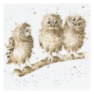 ‘You First’ Owl Card