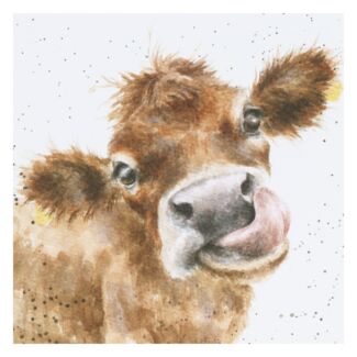 ‘Mooooo’ Cow Greetings Card