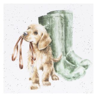 ‘Hopeful’ Dog Greetings Card