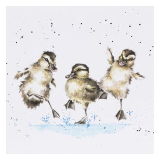 ‘Puddles’ Ducks Greetings Card