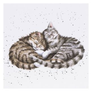 ‘Sweet Dreams’ Cat Greetings Card