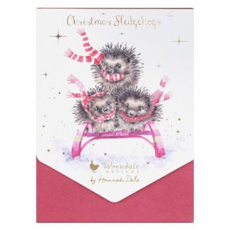 ‘Sledgehogs’ Set Of 8 Christmas Cards