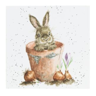 'The Flower Pot' Bunny Greetings Card