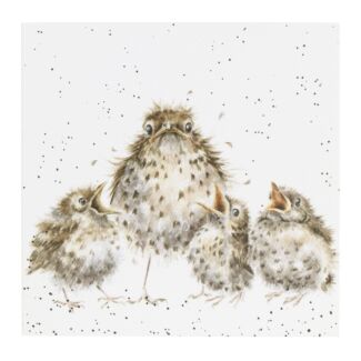 'Frazzled' Bird Greetings Card