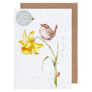 ‘The Birds and The Bees’ Wren Seed Card