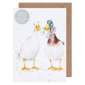 ‘Not a Daisy Goes By’ Duck Seed Card