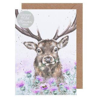 ‘Thistle Make You Smile’ Stag Seed Card