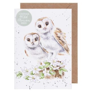 ‘Hooting for You’ Owl Seed Card