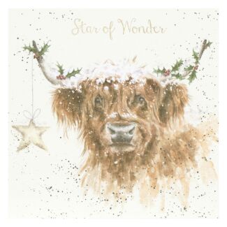 'Highland Star' Cow Christmas Card