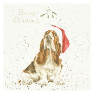 ‘Mistletoe’ Christmas Card