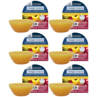 Bundle of 6 Tropical Starfruit Wax Melts