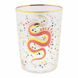‘Cocktail Hour’ Snakey Hi Ball Glass