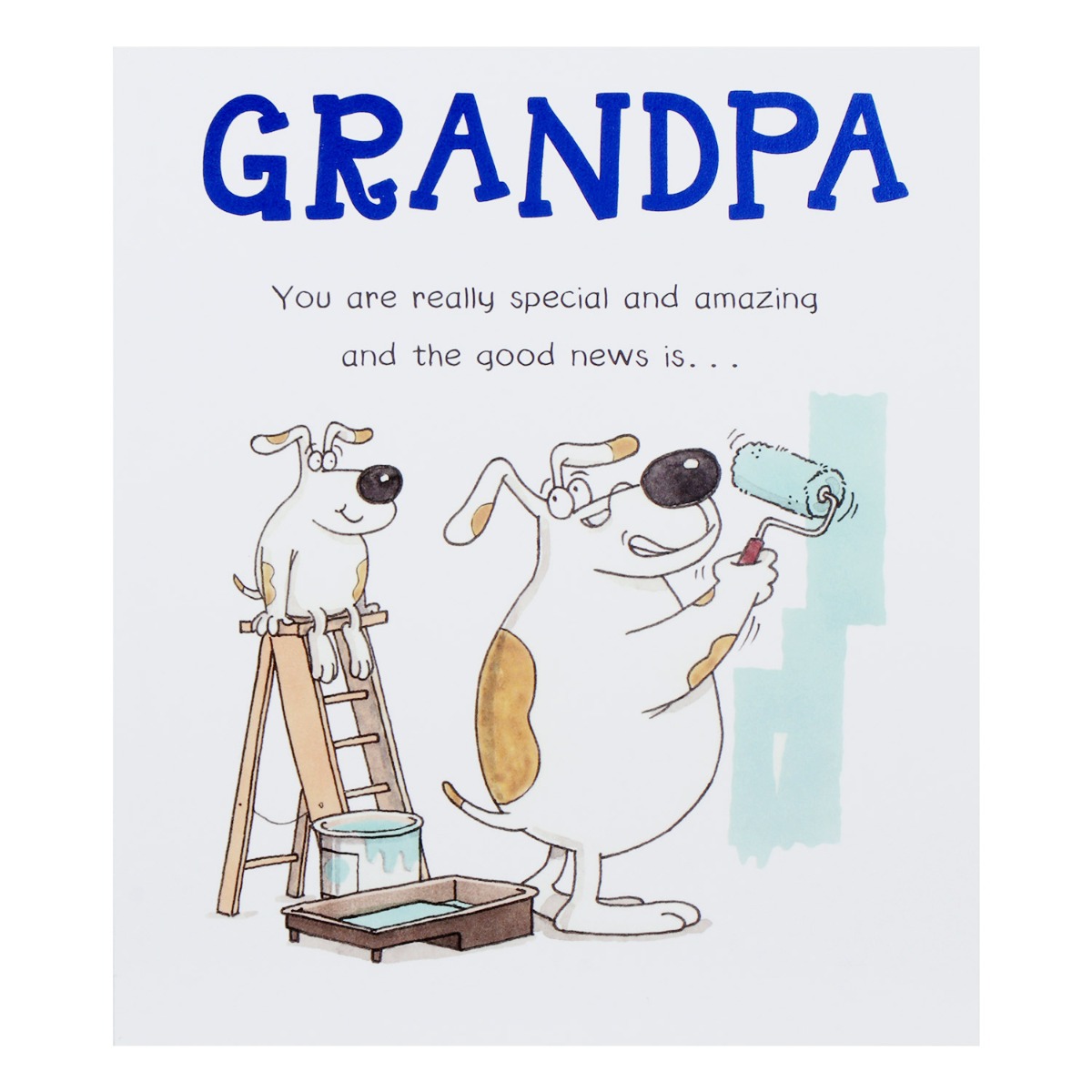 Download Paperlink Funny Farm Grandpa Birthday Card Temptation Gifts