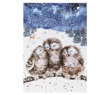 Count down the days to Christmas!