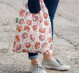 Eco Chic Cooler Backpacks