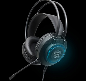 Gaming Accessories