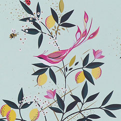 Sara Miller Other Collections