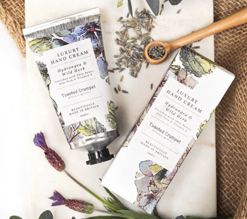 Toasted Crumpet The Hydrangea & Floral Botanics